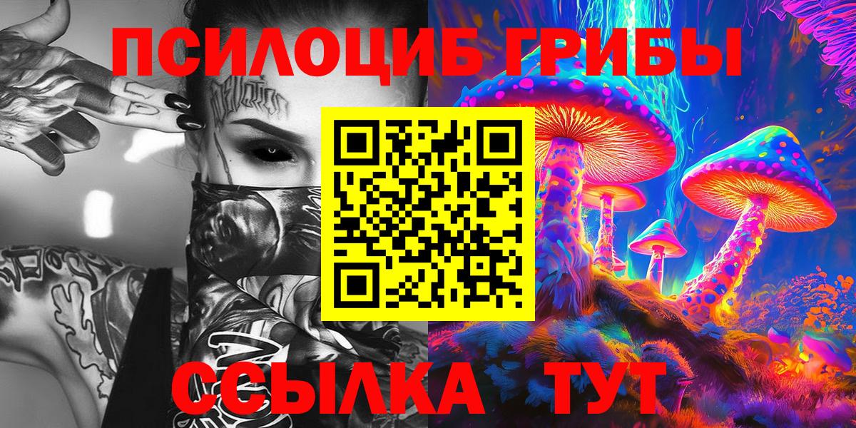 Нефтекамск  купить наркоту  Вход с VPN  Псилоцибиновые грибы Psilocybine cubensis 